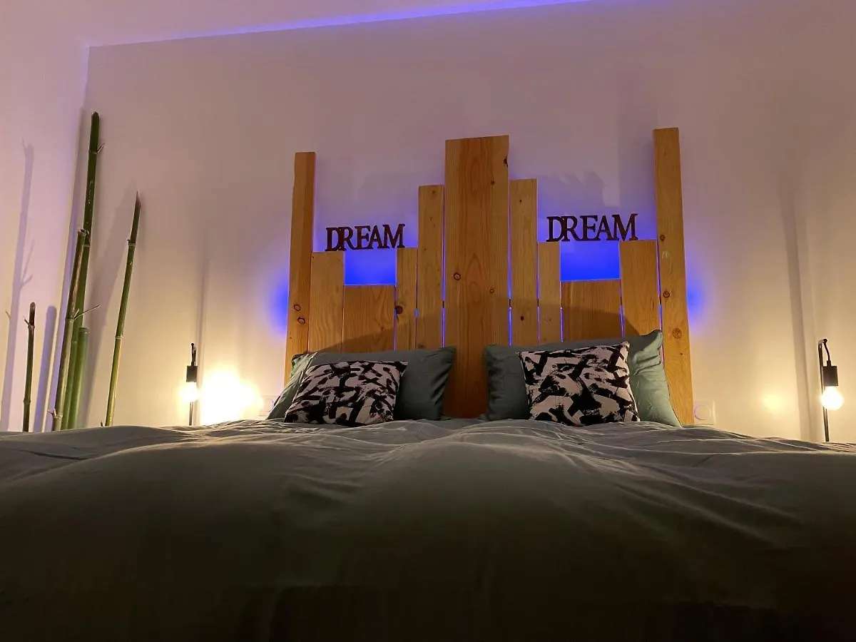 Reve De Panda Avec Sauna Et Jacuzzi Privatif Abrest Apartment