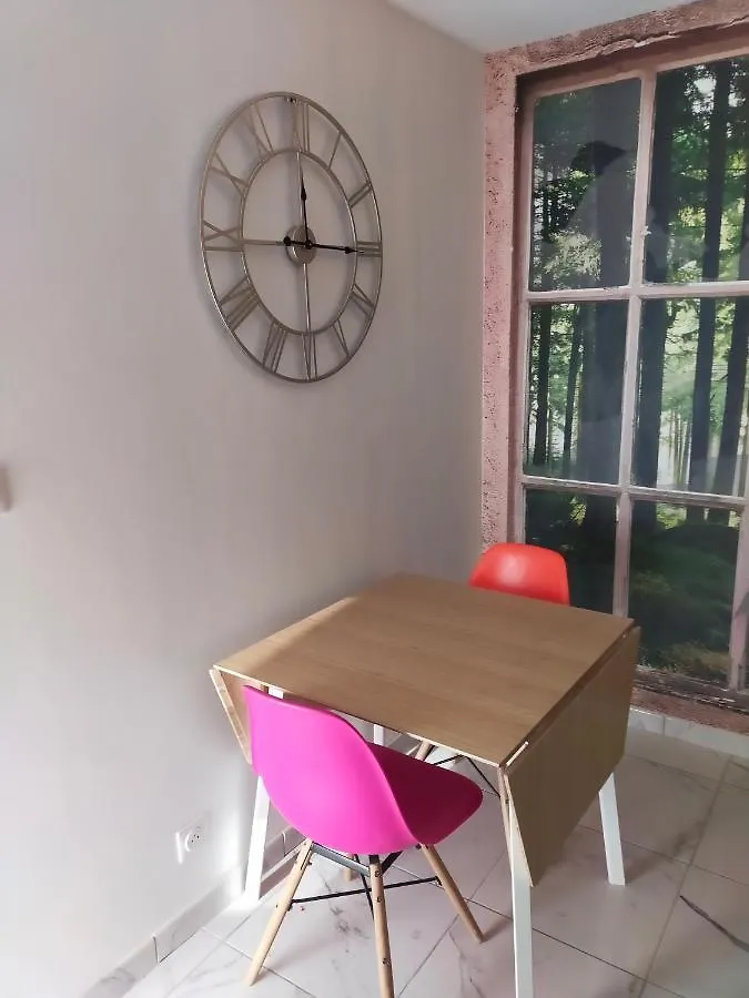 Apartment Reve De Panda Avec Sauna Et Jacuzzi Privatif Abrest France
